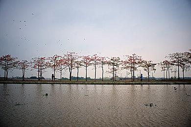 《游戏王：大师决斗》下载量突破5000万 发放1000宝石奖励